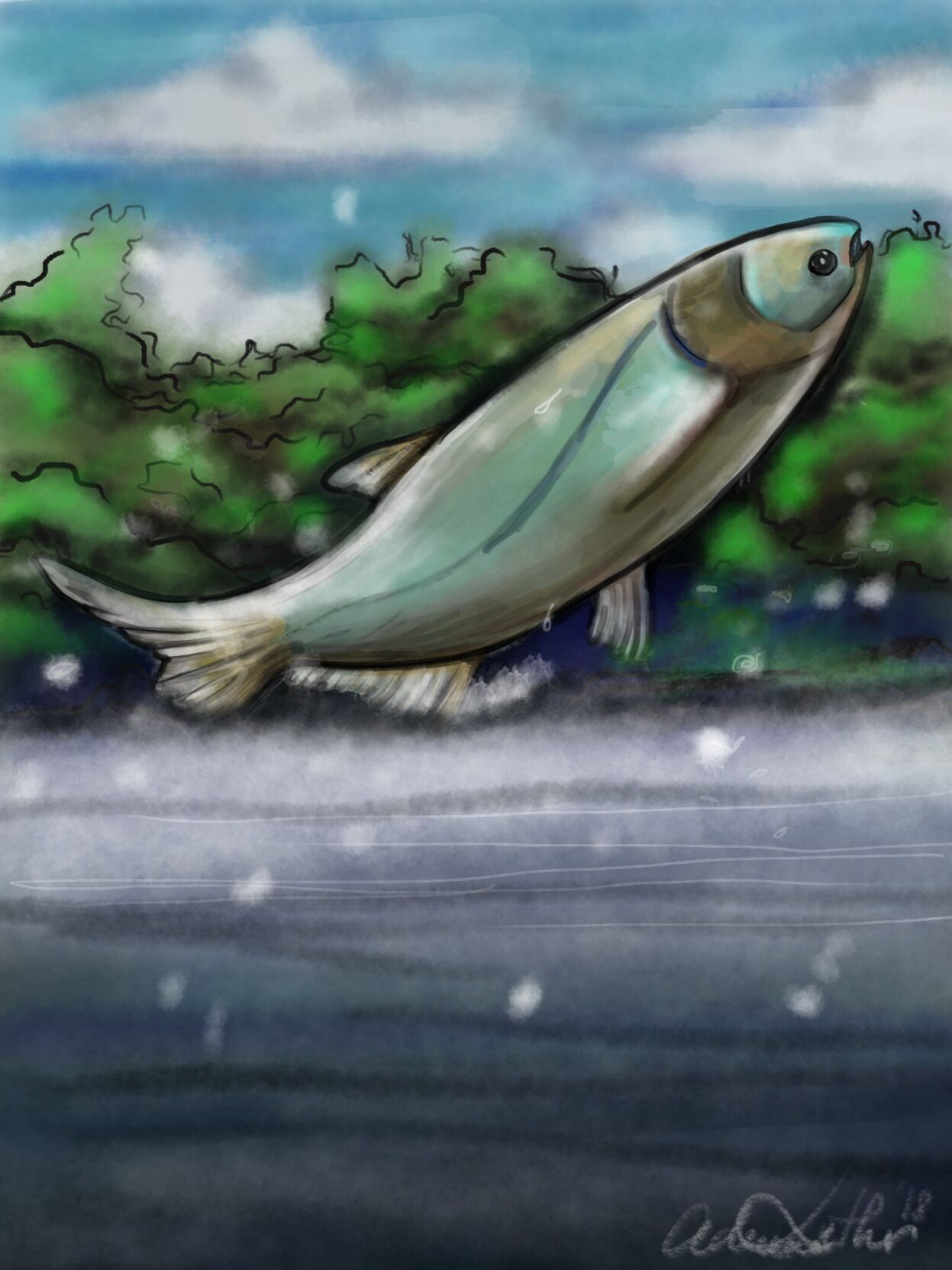 Asian Carp photo 1